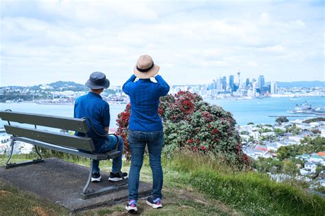 shore surgery auckland.